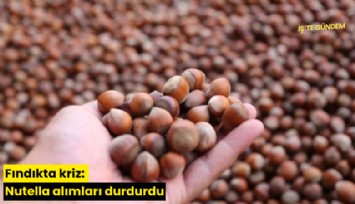 Fındıkta kriz: Nutella alımları durdurdu