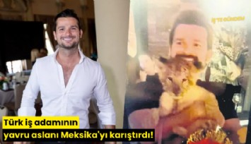 Türk iş adamının yavru aslanı Meksika'yı karıştırdı!