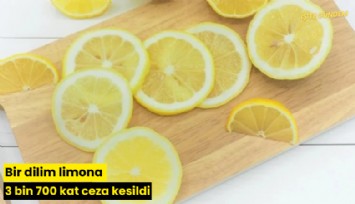 Bir dilim limona 3 bin 700 kat ceza kesildi