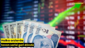 Halka arzlarda tavan serisi geri döndü
