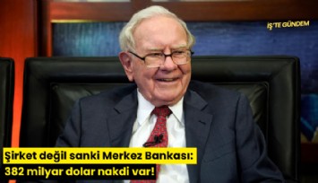 Şirket değil sanki Merkez Bankası: 382 milyar dolar nakdi var!