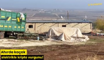 Ahırda kaçak elektrikle kripto vurgunu!