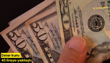 Dolar kuru 43 liraya yaklaştı