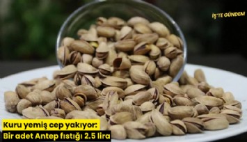 Kuru yemiş cep yakıyor: Bir adet Antep fıstığı 2.5 lira
