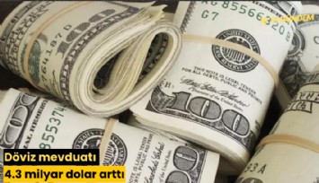 Döviz mevduatı 4.3 milyar dolar arttı