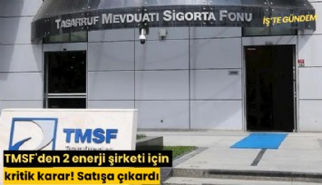 TMSF'den 2 enerji şirketi için kritik karar! Satışa çıkardı