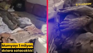 Mumyayı 1 milyon dolara satacaktık!