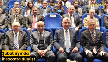 Şubat ayında ihracatta düşüş!