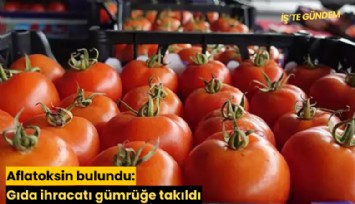 Aflatoksin bulundu: Gıda ihracatı gümrüğe takıldı