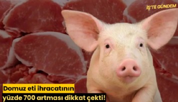 Domuz eti ihracatının yüzde 700 artması dikkat çekti!