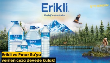 Erikli ve Pınar Su'ya verilen ceza devede kulak!