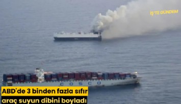 ABD'de 3 binden fazla sıfır araç suyun dibini boyladı