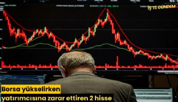 Borsa yükselirken yatırımcısına zarar ettiren 2 hisse