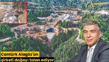 Cantürk Alagöz'ün şirketi doğayı talan ediyor