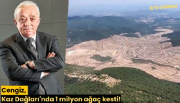 Cengiz, Kaz Dağları'nda 1 milyon ağaç kesti!