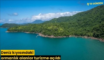 Deniz kıyısındaki ormanlık alanlar turizme açıldı