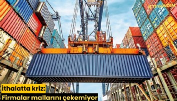 İthalatta kriz: Firmalar mallarını çekemiyor