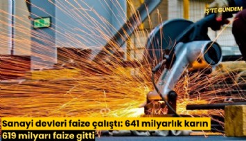 Sanayi devleri faize çalıştı: 641 milyarlık karın 619 milyarı faize gitti