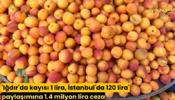 'Iğdır'da kayısı 1 lira, İstanbul'da 120 lira' paylaşımına 1.4 milyon lira ceza