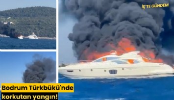 Bodrum Türkbükü'nde korkutan yangın!