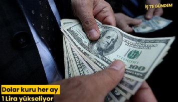 Dolar kuru her ay 1 Lira yükseliyor