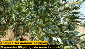 Enerjide 'hız dönemi' başlıyor: Başvurular 60 gün içinde sonuçlanacak