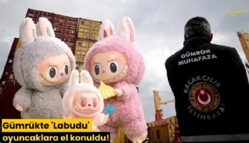 Gümrükte 'Labudu' oyuncaklara el konuldu!