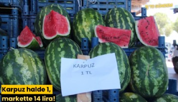 Karpuz halde 1, markette 14 lira!