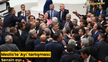 Meclis'te 'Ayı' tartışması: Sensin ayı, ahlaksız herif