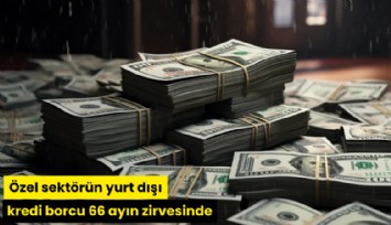 Özel sektörün yurt dışı kredi borcu 66 ayın zirvesinde