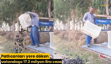 Patlıcanları yere döken vatandaşa 17.2 milyon lira ceza