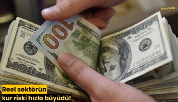 Reel sektörün kur riski hızla büyüdü!