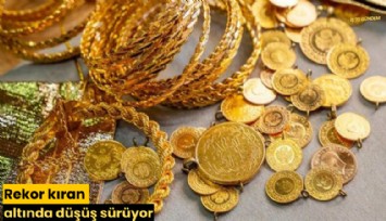 Rekor kıran altında düşüş sürüyor