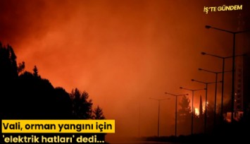 Vali, orman yangını için 'elektrik hatları' dedi...
