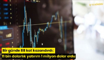 Bir günde 88 kat kazandırdı: 11 bin dolarlık yatırım 1 milyon dolar oldu