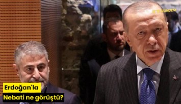 Erdoğan'la Nebati ne görüştü?