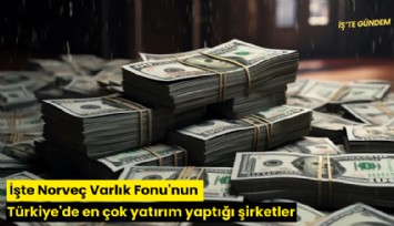 İşte Norveç Varlık Fonu'nun Türkiye'de en çok yatırım yaptığı şirketler
