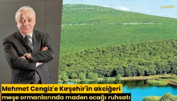 Mehmet Cengiz'e Kırşehir'in akciğeri meşe ormanlarında maden ocağı ruhsatı