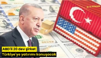 ABD'li 20 dev şirket Türkiye'ye yatırımı konuşacak