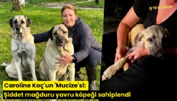 Caroline Koç'un 'Mucize'si: Şiddet mağduru yavru köpeği sahiplendi