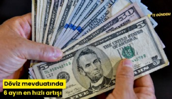 Döviz mevduatında 6 ayın en hızlı artışı
