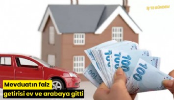 Mevduatın faiz getirisi ev ve arabaya gitti