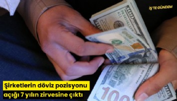 Şirketlerin döviz pozisyonu açığı 7 yılın zirvesine çıktı