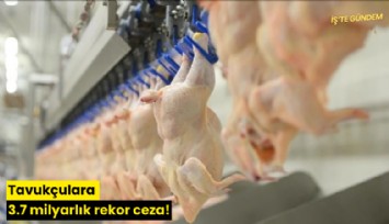 Tavukçulara 3.7 milyarlık rekor ceza!