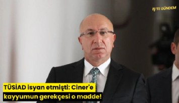 TÜSİAD isyan etmişti: Ciner'e kayyumun gerekçesi o madde!