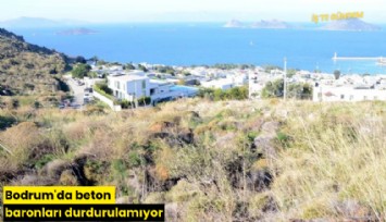 Bodrum'da beton baronları durdurulamıyor