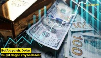 BofA uyardı: Dolar bu yıl değer kaybedebilir