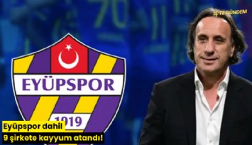 Eyüpspor dahil 9 şirkete kayyum atandı!
