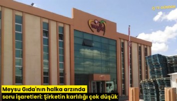 Meysu Gıda'nın halka arzında soru işaretleri: Şirketin karlılığı çok düşük