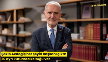 Şekib Avdagiç her şeyin başkanı: 20 ayrı kurumda başkan